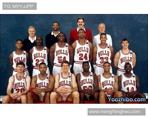 2010年NBA总决赛公牛与湖人经典对决回顾与分析